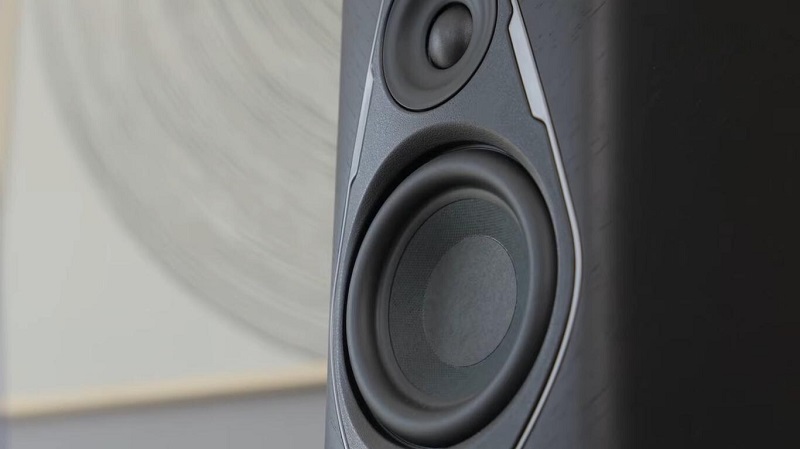 củ loa woofer của duetto