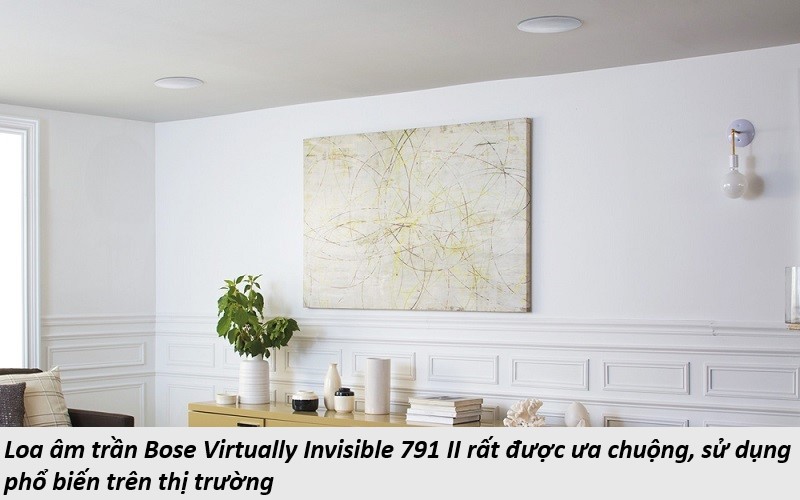đặc điểm loa Bose Virtually Invisible 791 II