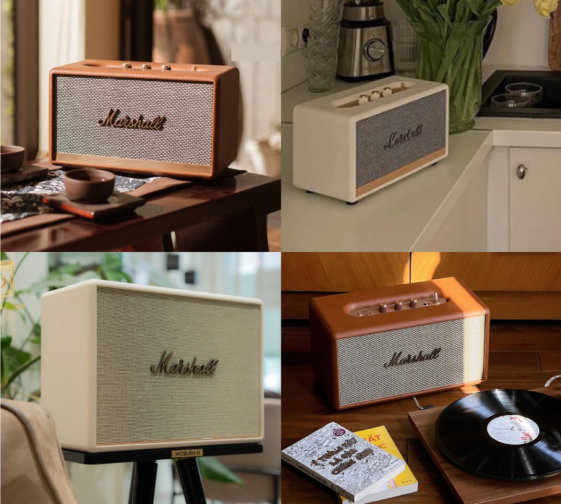 decoer loa marshall cắm điện