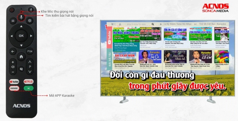 điều khiển từ xa cho loa hinet-450-gen2