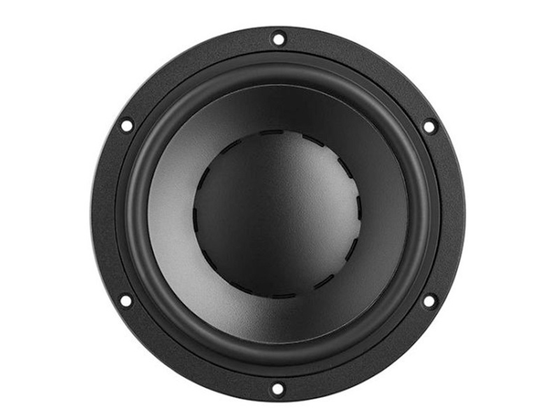 Loa Dynaudio Special Forty cau tao 