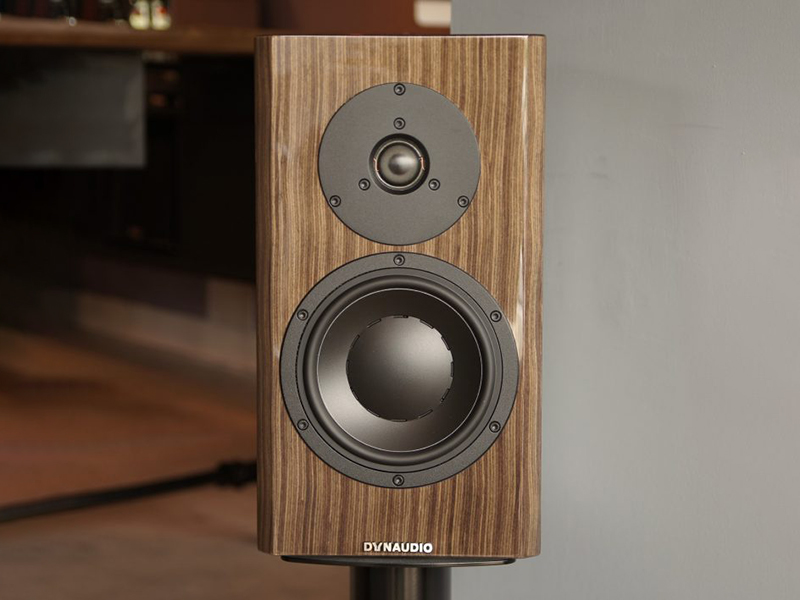 Loa Dynaudio Special Forty điện tử linh anh