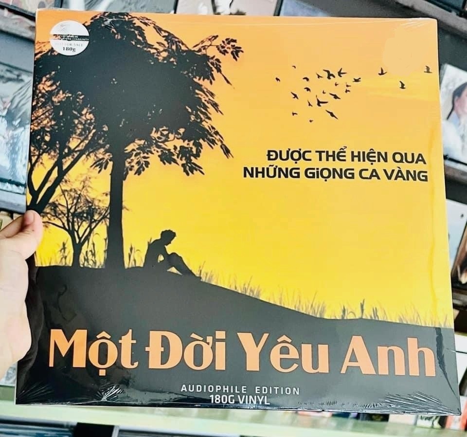 Đĩa than Various - Một Đời Yêu Anh giá rẻ