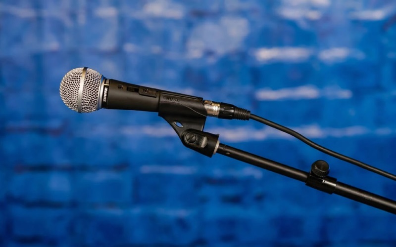 giá micro shure sm48s lc-x