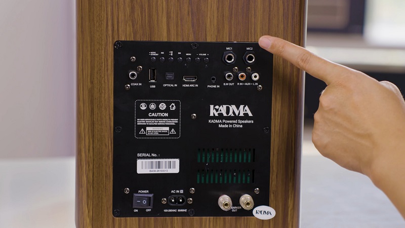 hệ thống cổng kết nối trên loa ba38