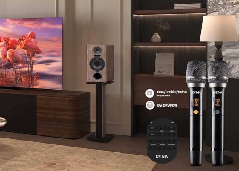 kadma ba38 tặng 2 micro