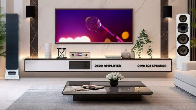 kết nối loa aucus diva 821