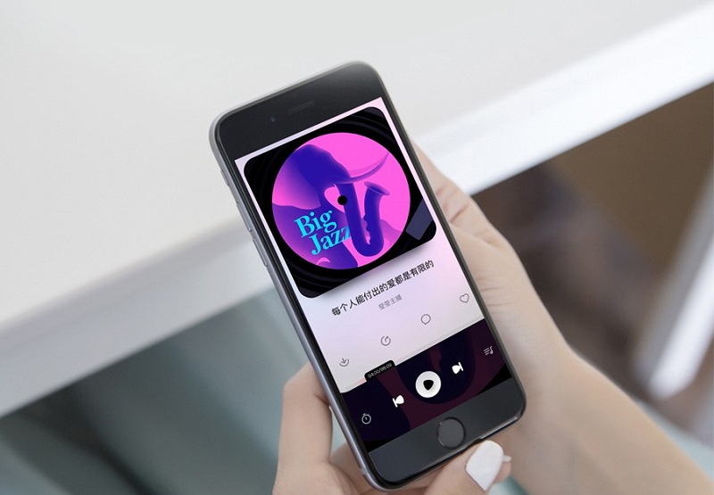 kết nối loa hiv swan d1100