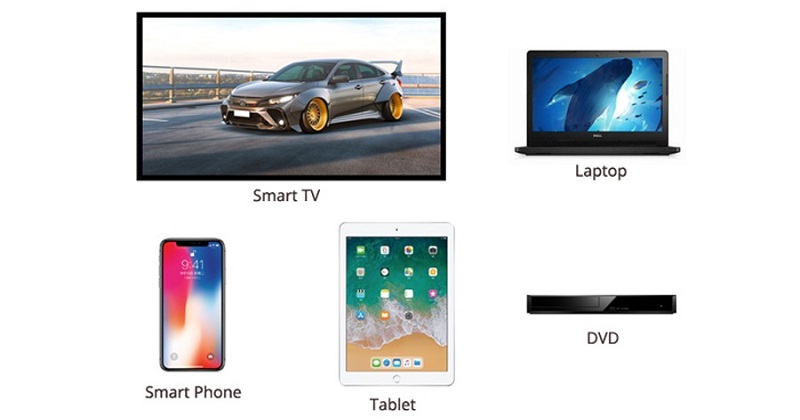 kết nối loa swan d300