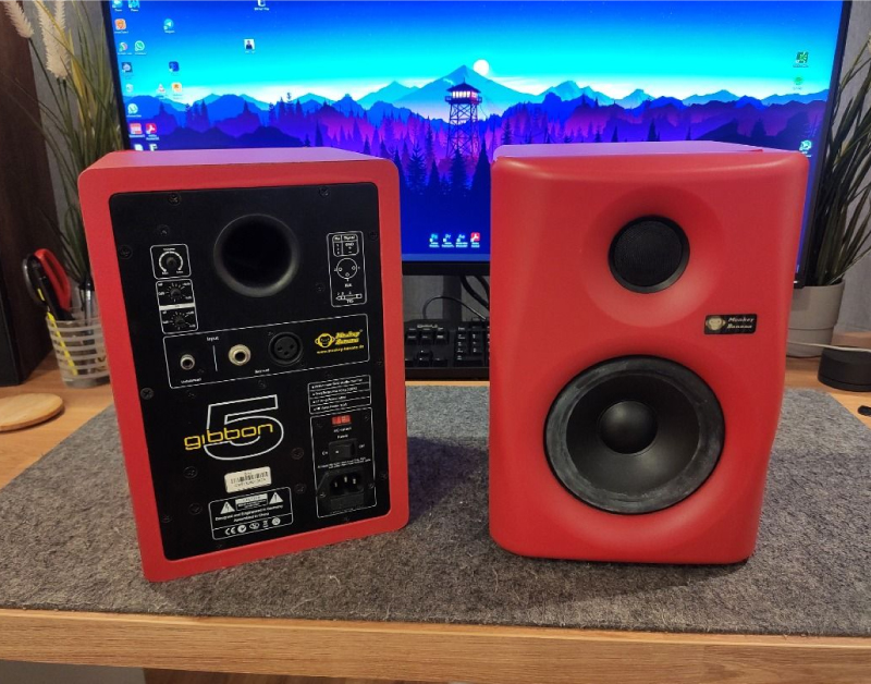 kêt nối và điều khiển của loa kiểm âm monkey-banana gibbon 5