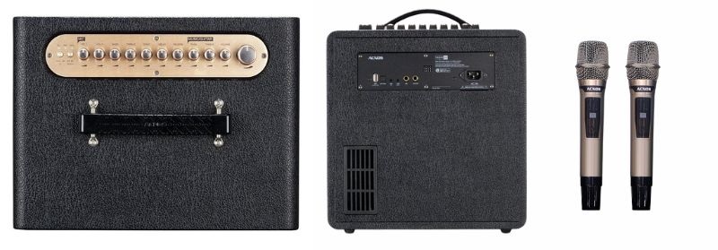 loa acnos quad 64 ver 2 thiết kế