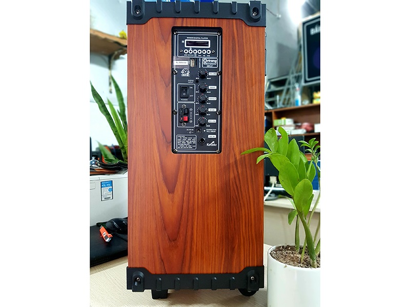 Loa Arirang MKS1 kết nối ấn tượng