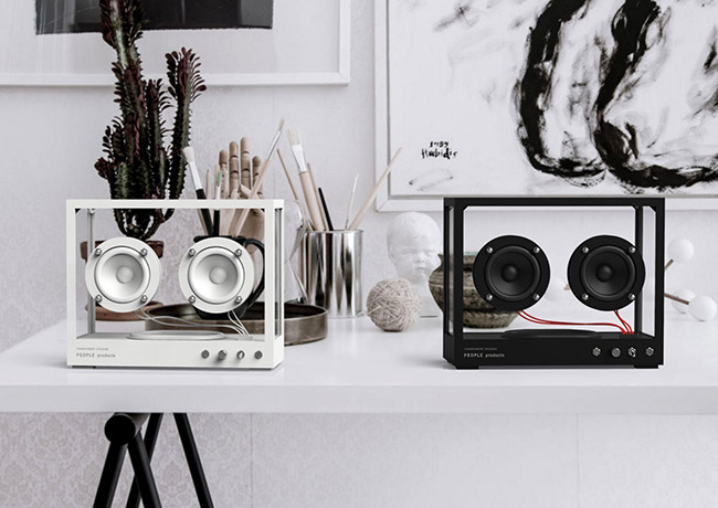 thiết kế của loa transparent