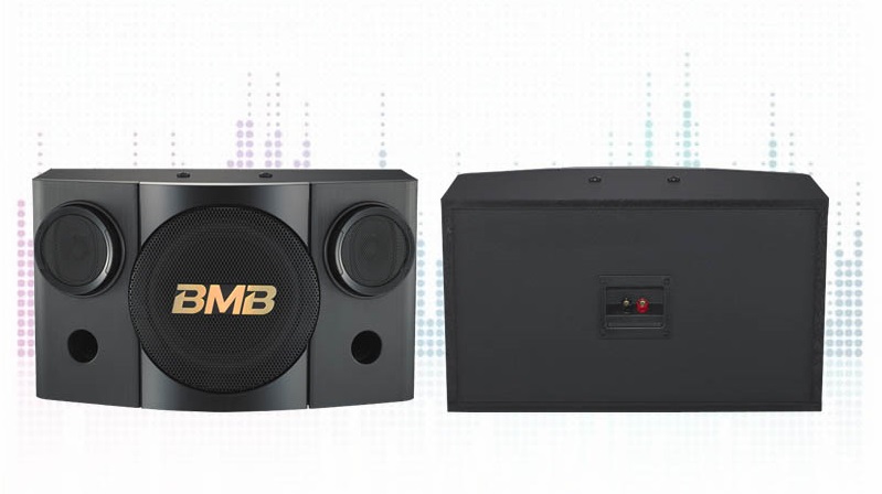 Loa BMB CSE 308 (SE)