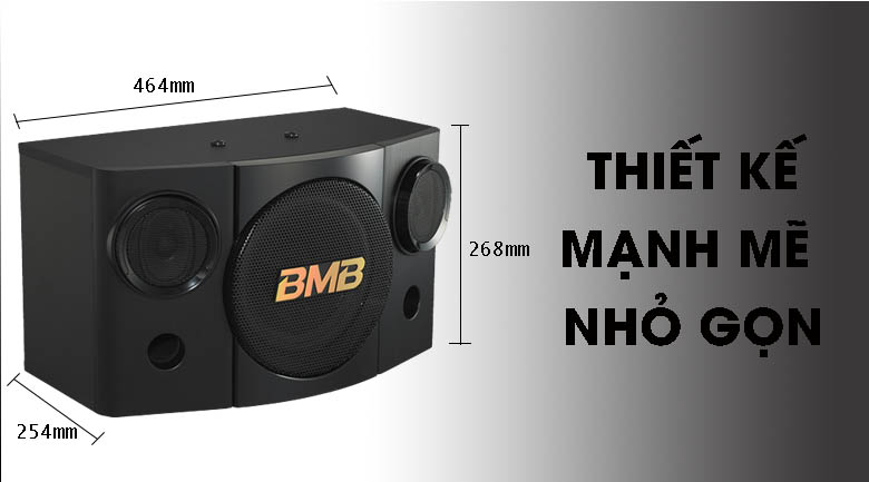 Loa BMB CSE 308 (SE)