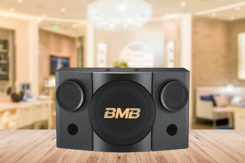 Loa BMB CSE 308 (SE)