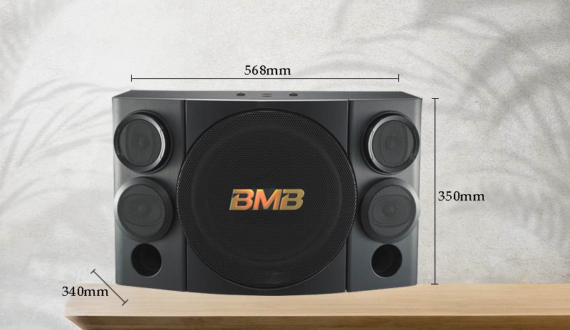 Loa BMB CSE 312 (SE)