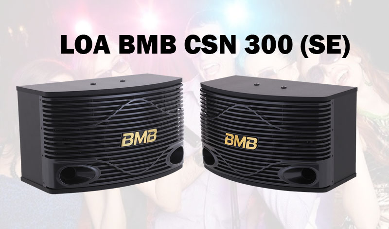  Loa BMB CSN 300 (SE)