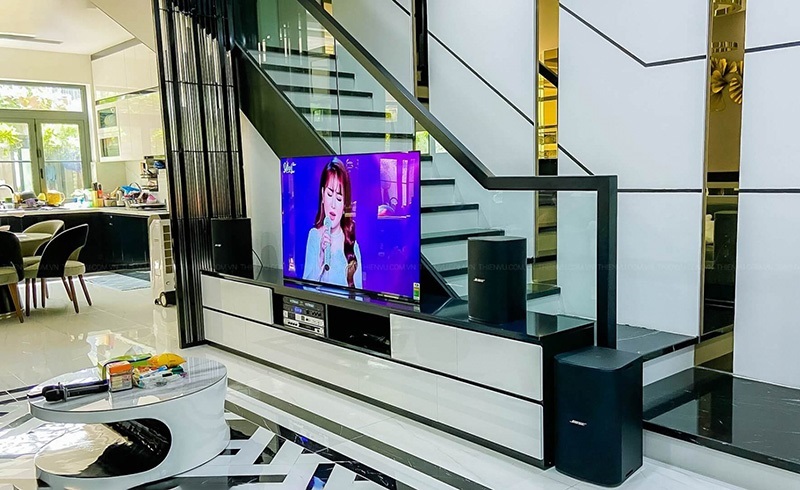 Loa Bose DesignMax DM10S hướng dẫn sử dụng