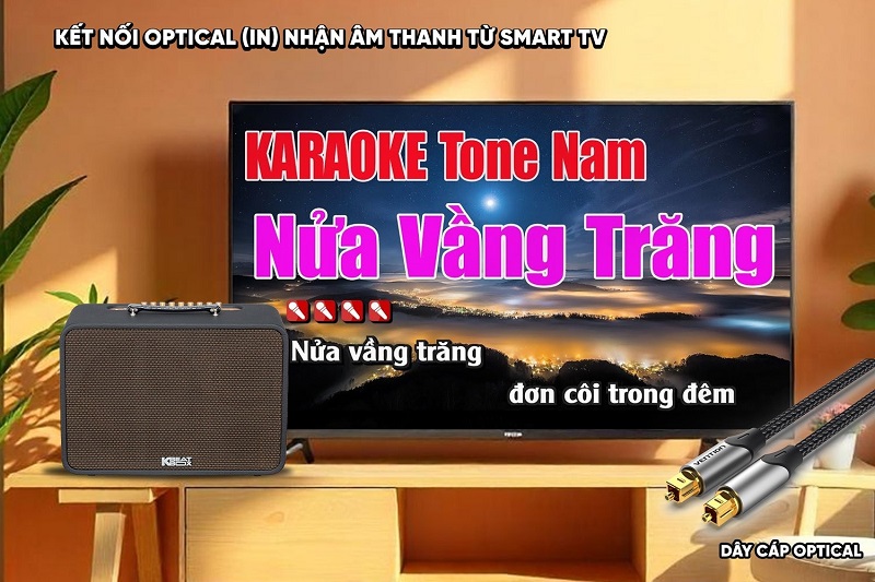 loa cs250pro kết nối với tv