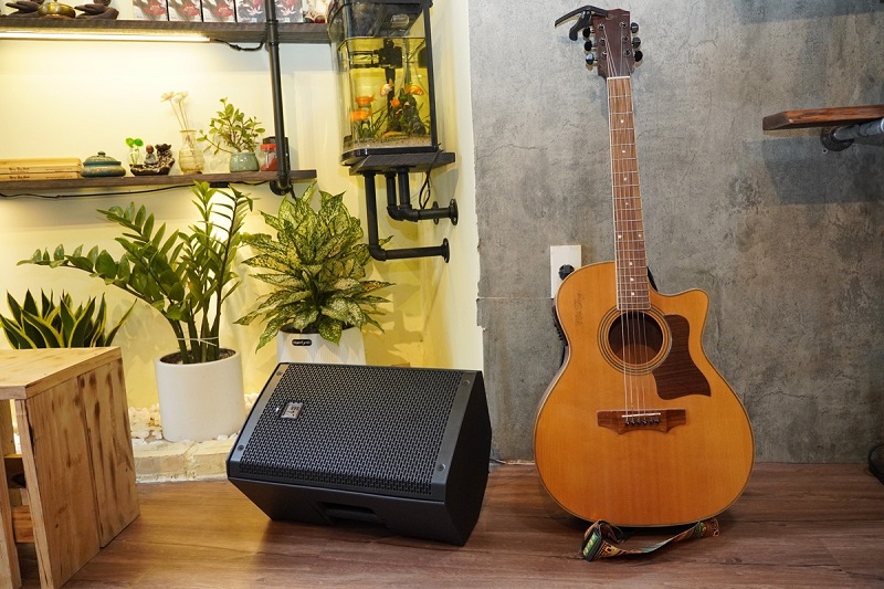 loa ev zlx-12p-g2 thiết kế