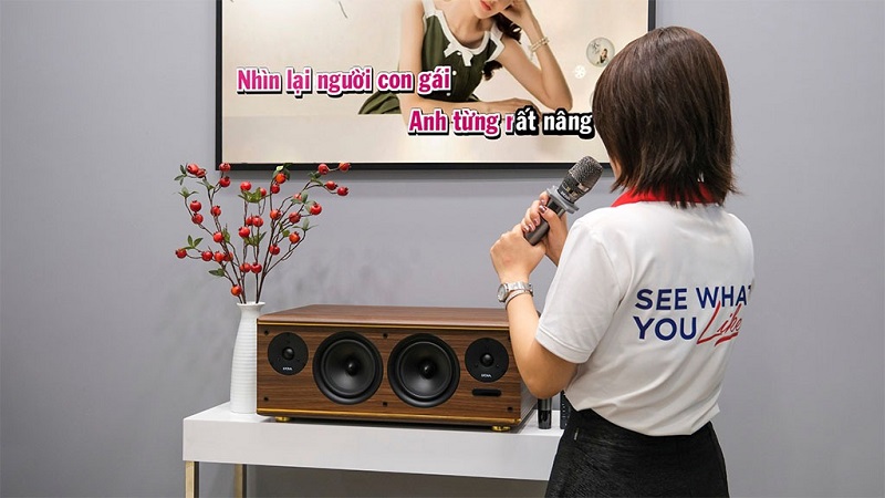 loa kadma bs63 tặng micro