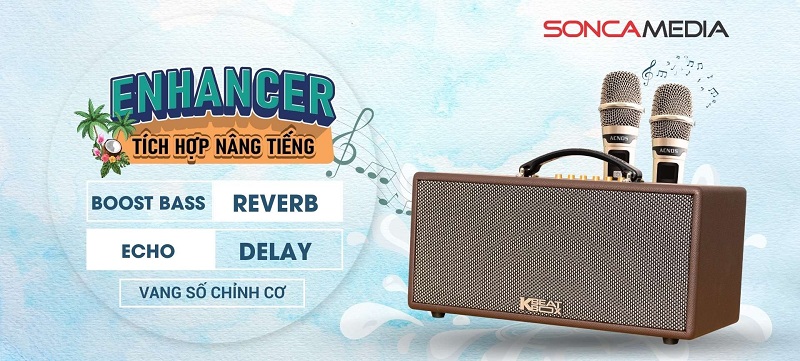 loa acnos cs366 plus tích hợp vang số chỉnh cơ