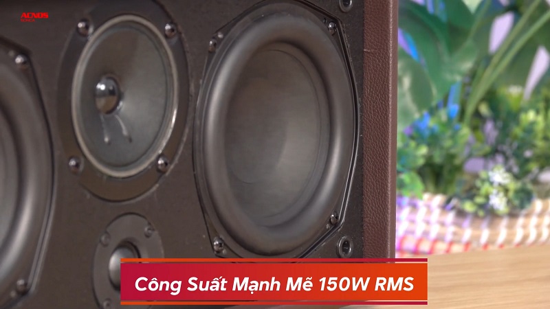 loa acnos cs366 plus với công suất mạnh mẽ