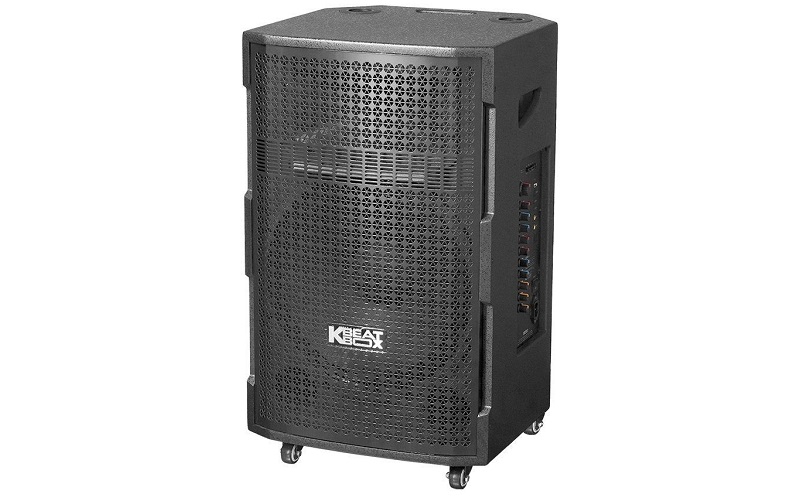 loa kéo acnos cs393neo