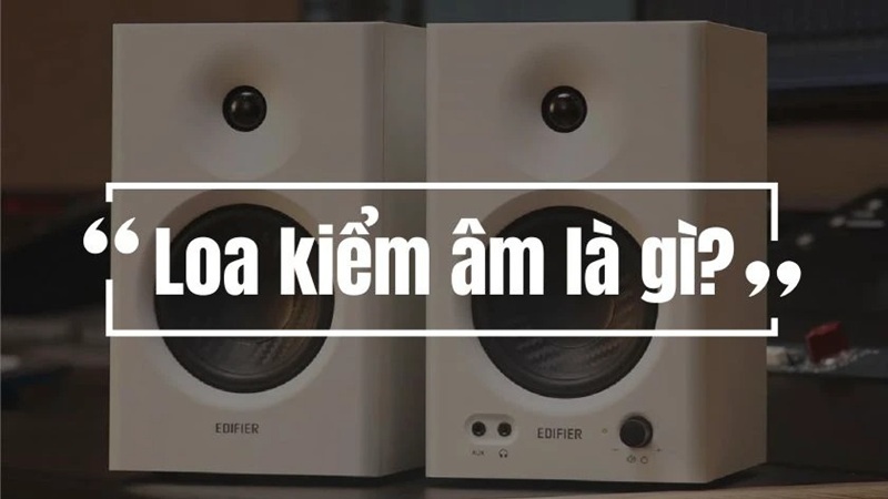 loa kiểm âm là gì