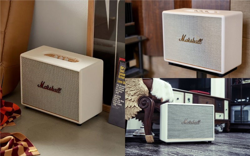 loa marshall trắng woburn