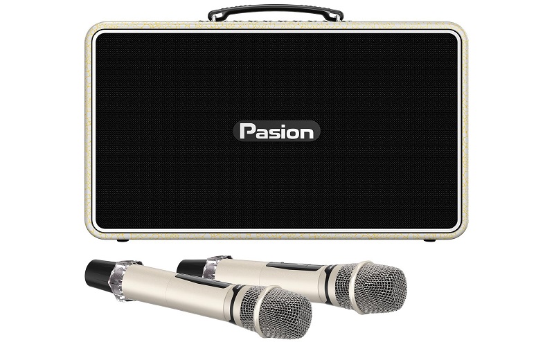 loa paramax pasion arte