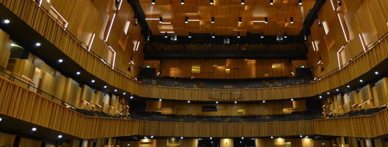 chất âm oa SE Audiotechnik V-12