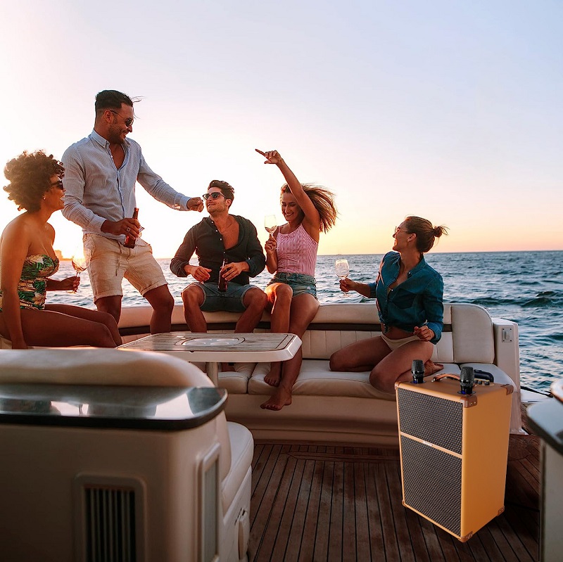 loa sumico touring 10 với hệ thống củ loa cao cấp