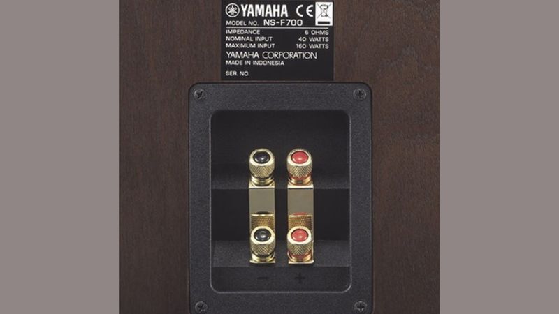 loa yamaha ns f700 két nối da dạng