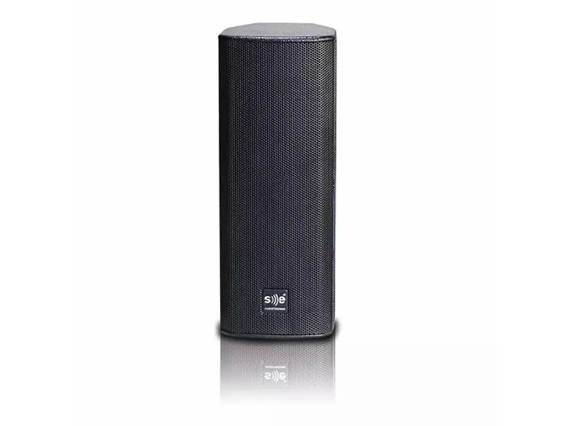 Loa SE-Audiotechnik M-242G2 thiết kế