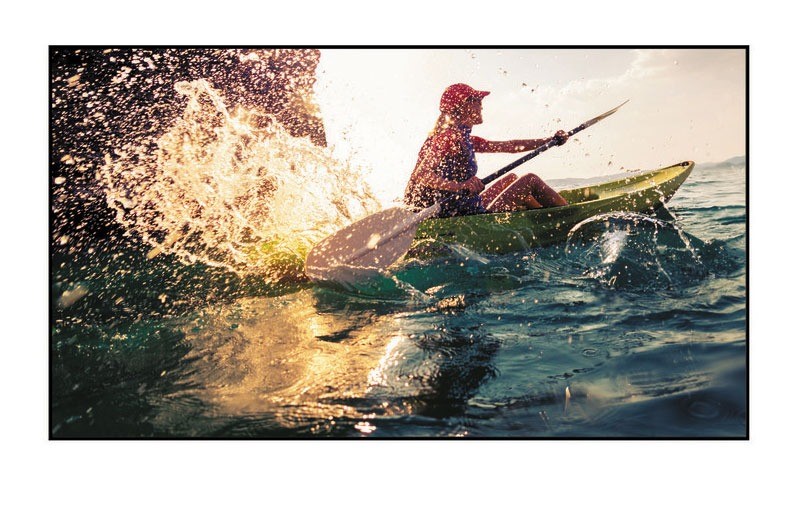 màn chiếu quang học dalite alr