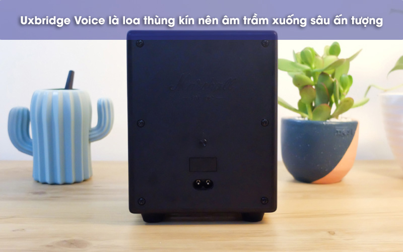 mặt sau loa uxbridge