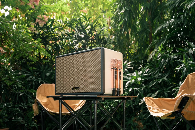 màu sắc loa paramax saga