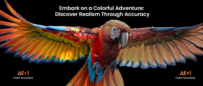 máy chiếu jmgo n1s nano màu sắc tươi sáng