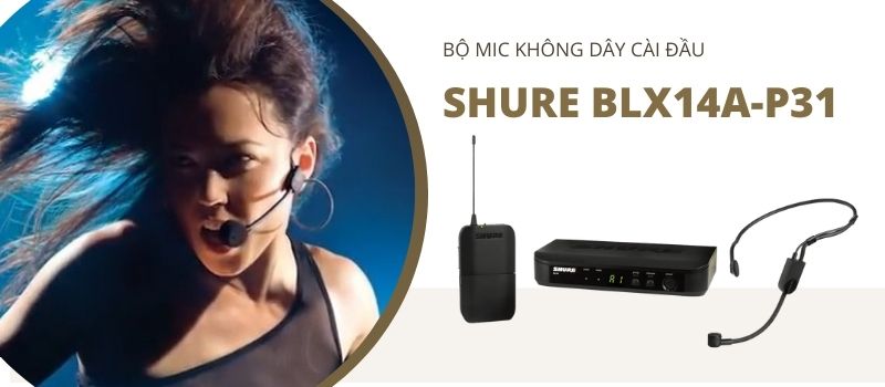 micro cài đầu shure blx14a p31 thành phần chính