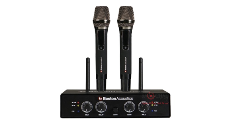 Micro Boston Acoustics WMS210