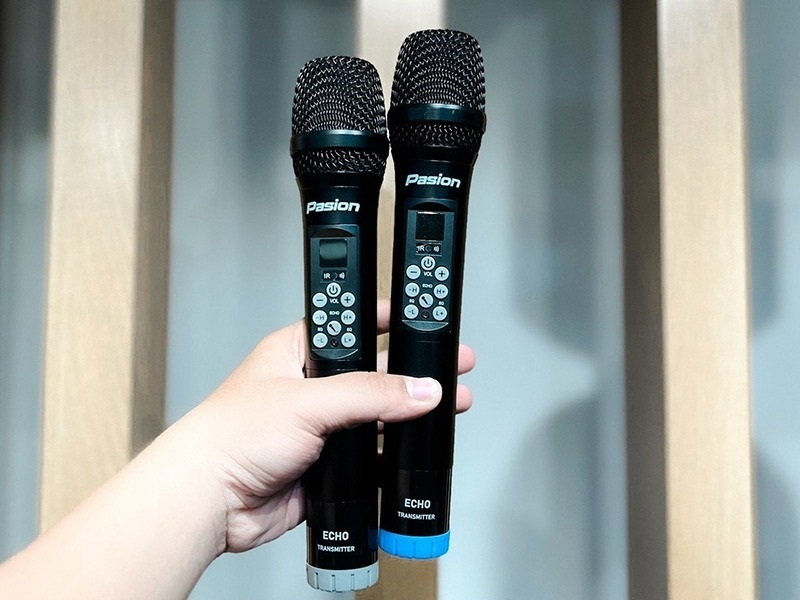 micro không dây paramax pasion echo
