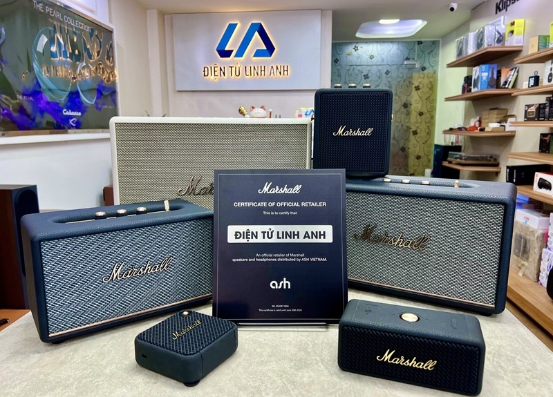 mua loa ở điện tử linh anh