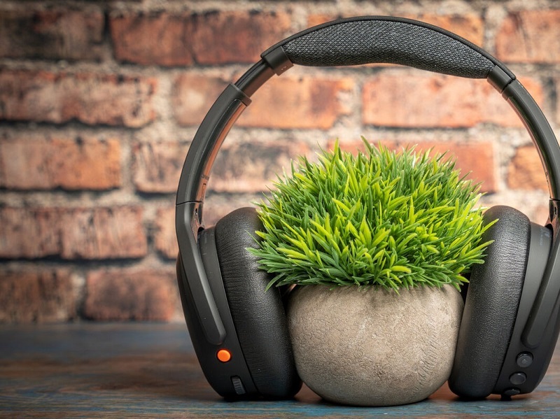 Skull Candy Crusher ANC 2