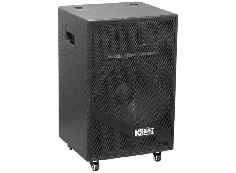 thiết kế của loa acnos kb39neo