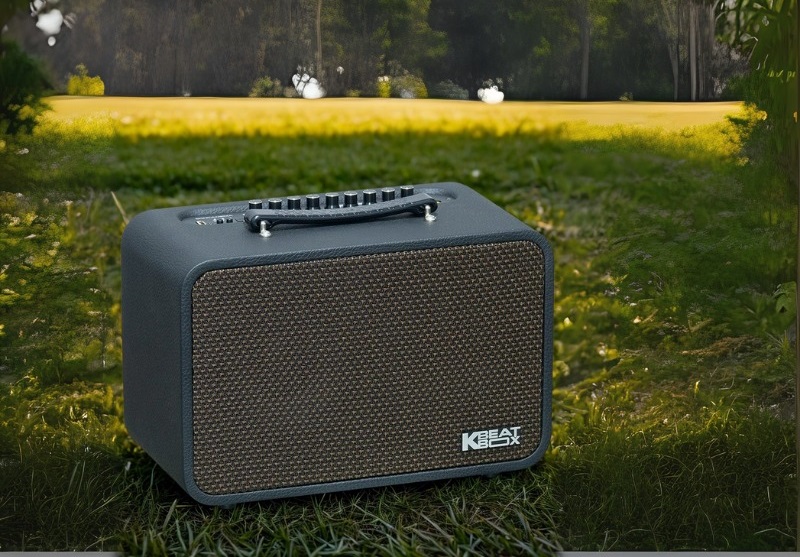 thiết kế loa acnos cs160pro