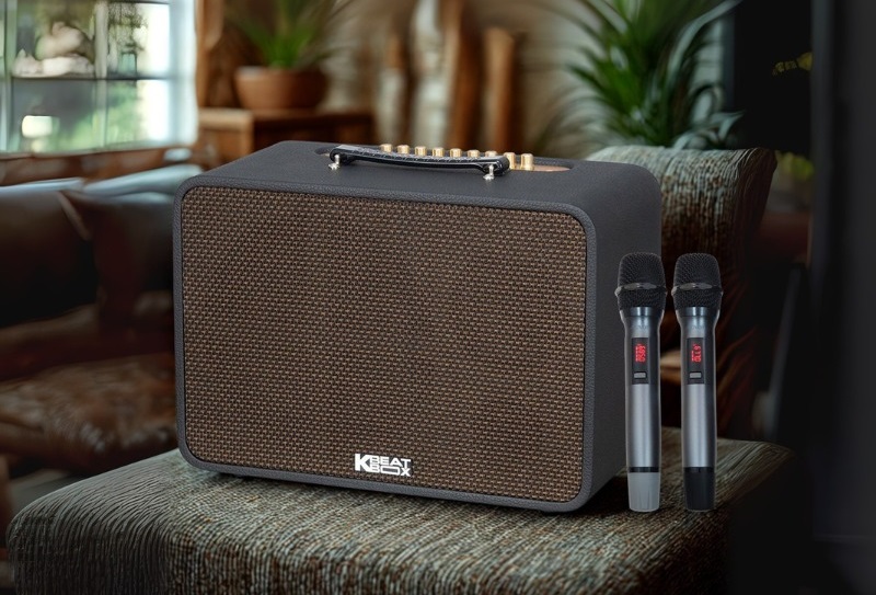 thiết kế loa acnos cs250 pro