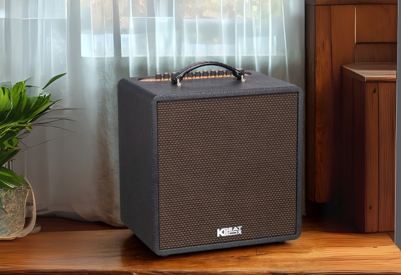 thiết kế loa acnos quad 68 pro