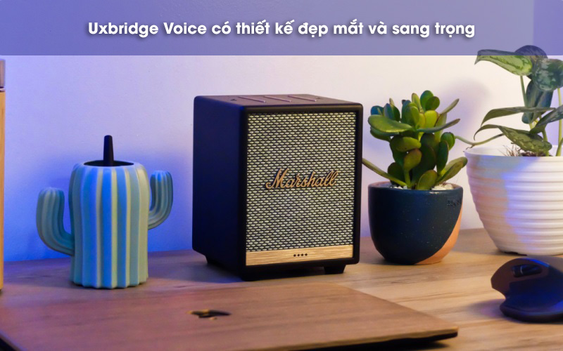 thiết kế loa uxbridge voice